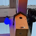 Maisonnette Avec Jardin, Piscine, Netflix וישי