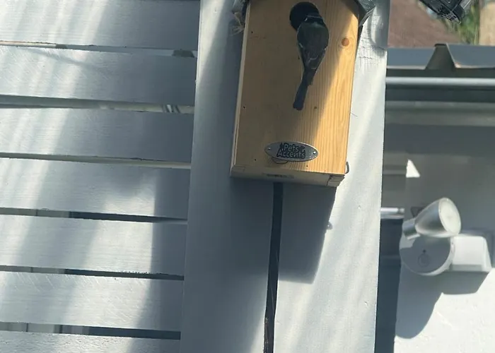 Maisonnette Avec Jardin, Piscine, Netflix Шале