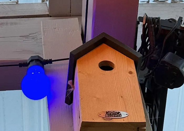 Maisonnette Avec Jardin, Piscine, Netflix Виши